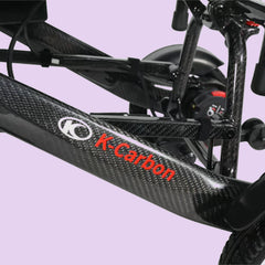 Kymco Mobility K Carbon Fibre