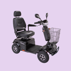 Electric Mobility Pioneer