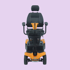 Electric Mobility Rascal Vista LiFe